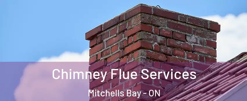  Chimney Flue Services Mitchells Bay - ON