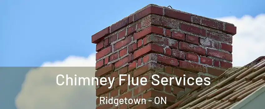  Chimney Flue Services Ridgetown - ON