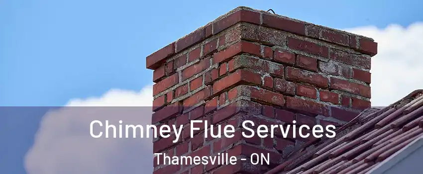  Chimney Flue Services Thamesville - ON