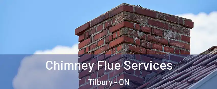  Chimney Flue Services Tilbury - ON
