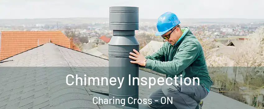  Chimney Inspection Charing Cross - ON