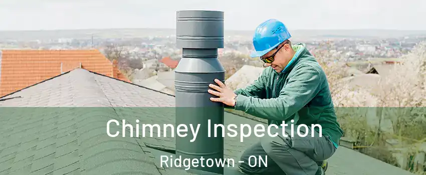  Chimney Inspection Ridgetown - ON