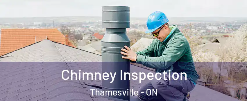  Chimney Inspection Thamesville - ON