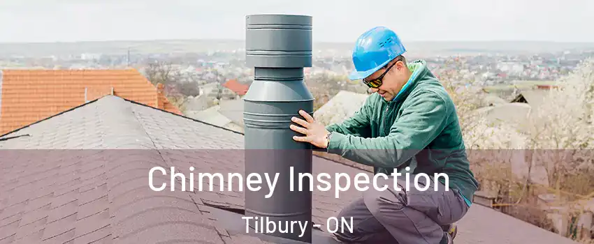  Chimney Inspection Tilbury - ON