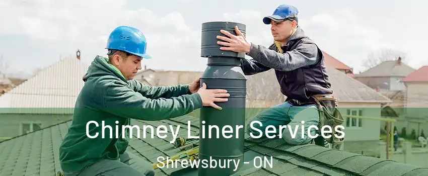  Chimney Liner Services Shrewsbury - ON