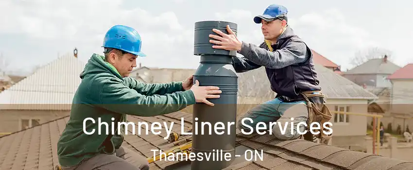  Chimney Liner Services Thamesville - ON