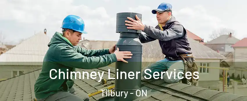  Chimney Liner Services Tilbury - ON