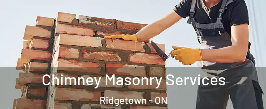  Chimney Masonry Services Ridgetown - ON