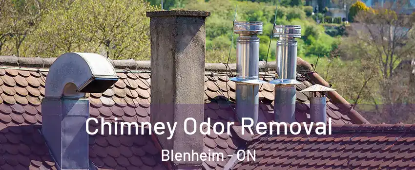  Chimney Odor Removal Blenheim - ON
