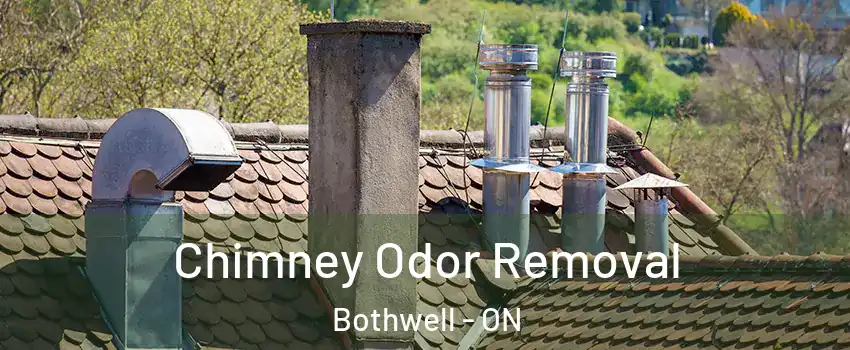  Chimney Odor Removal Bothwell - ON