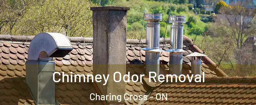 Chimney Odor Removal Charing Cross - ON