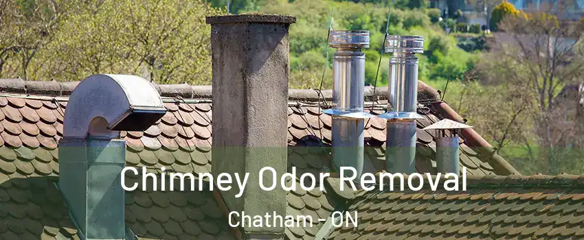  Chimney Odor Removal Chatham - ON
