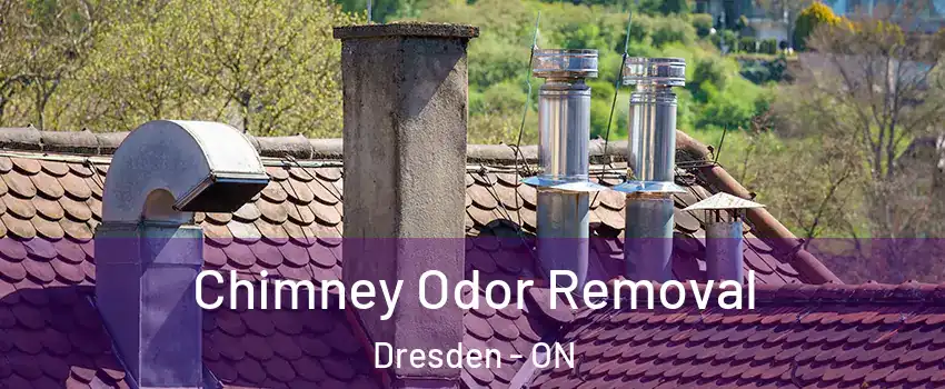  Chimney Odor Removal Dresden - ON
