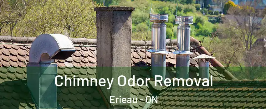  Chimney Odor Removal Erieau - ON