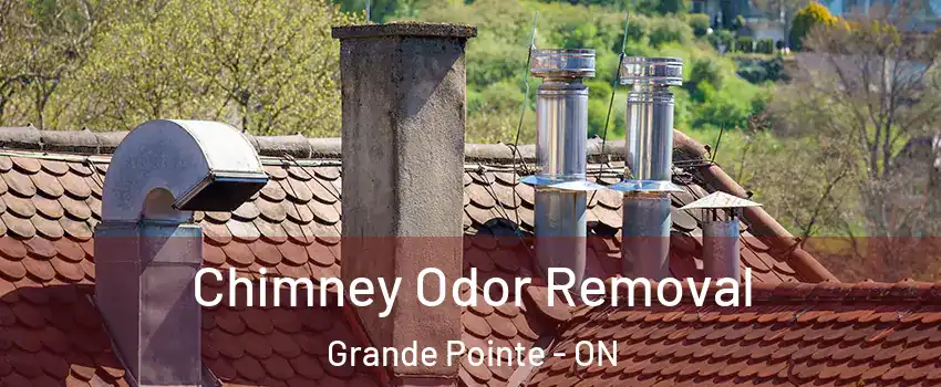  Chimney Odor Removal Grande Pointe - ON