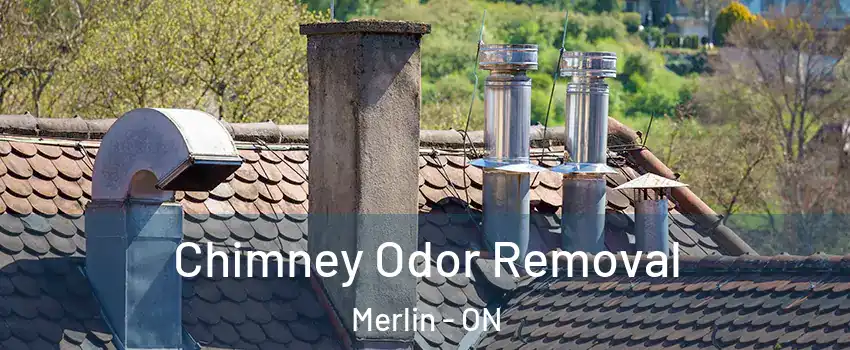  Chimney Odor Removal Merlin - ON