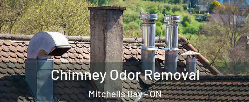  Chimney Odor Removal Mitchells Bay - ON