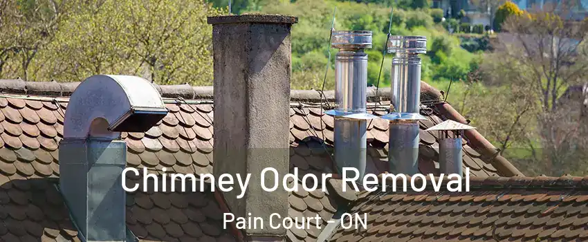  Chimney Odor Removal Pain Court - ON