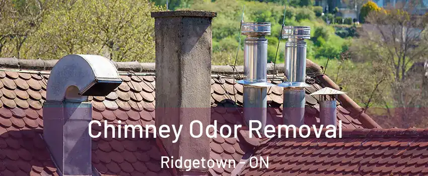  Chimney Odor Removal Ridgetown - ON