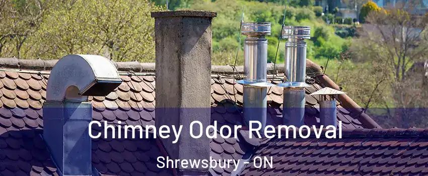  Chimney Odor Removal Shrewsbury - ON