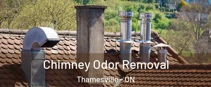  Chimney Odor Removal Thamesville - ON