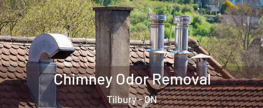  Chimney Odor Removal Tilbury - ON