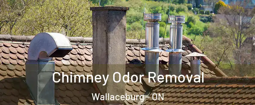  Chimney Odor Removal Wallaceburg - ON
