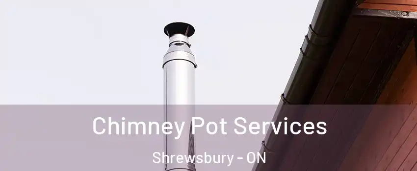  Chimney Pot Services Shrewsbury - ON