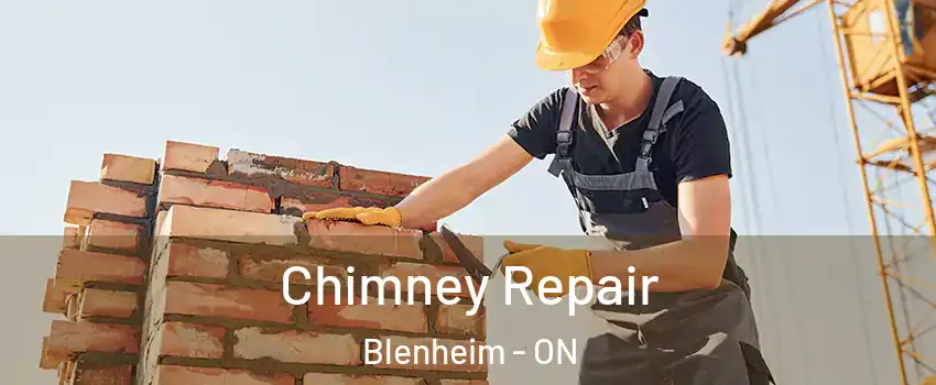  Chimney Repair Blenheim - ON