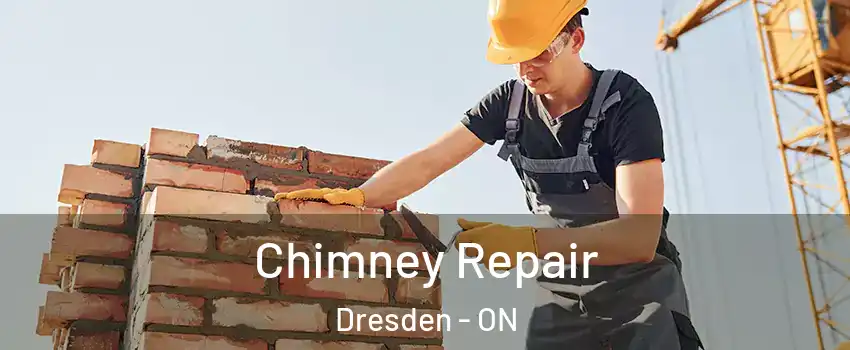  Chimney Repair Dresden - ON