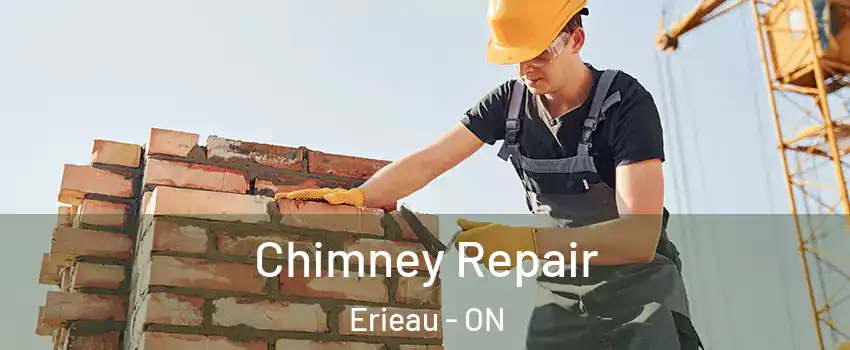  Chimney Repair Erieau - ON