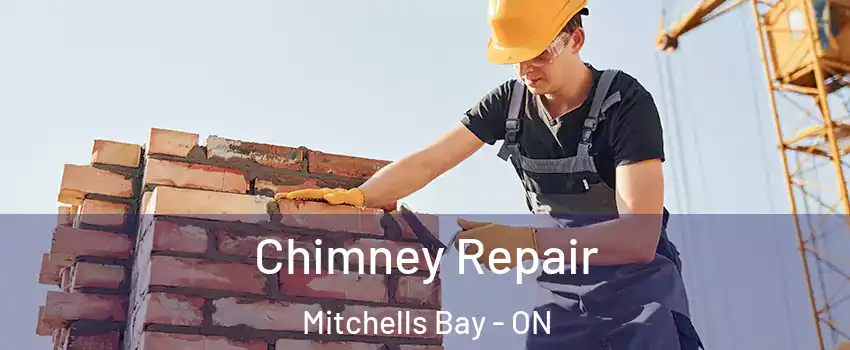  Chimney Repair Mitchells Bay - ON