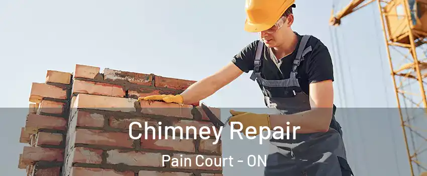  Chimney Repair Pain Court - ON