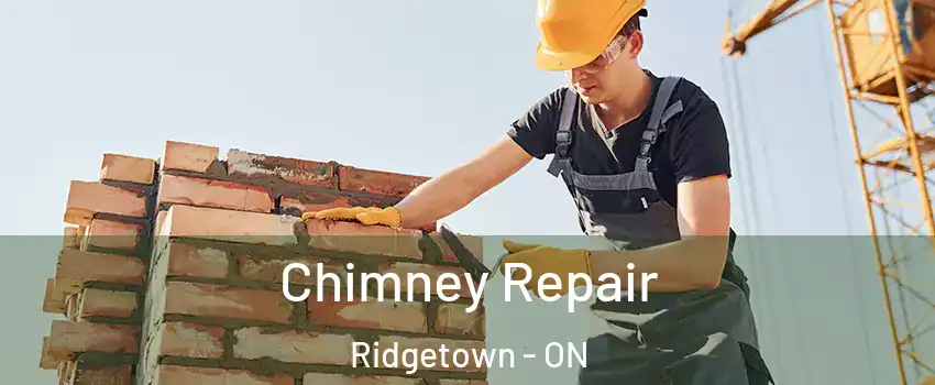  Chimney Repair Ridgetown - ON