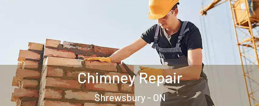  Chimney Repair Shrewsbury - ON