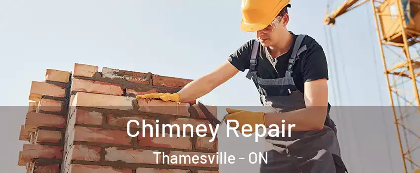  Chimney Repair Thamesville - ON