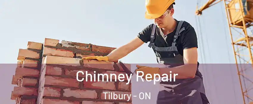  Chimney Repair Tilbury - ON