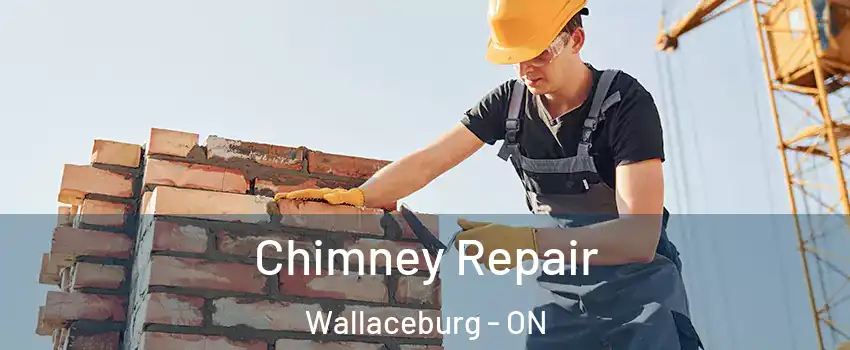  Chimney Repair Wallaceburg - ON