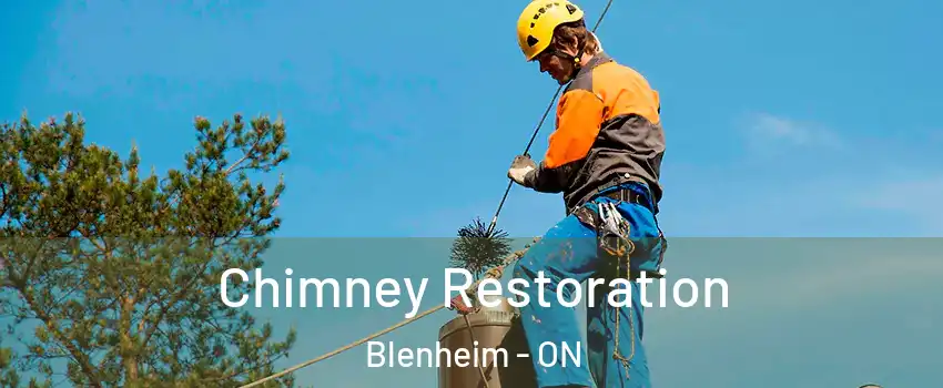  Chimney Restoration Blenheim - ON