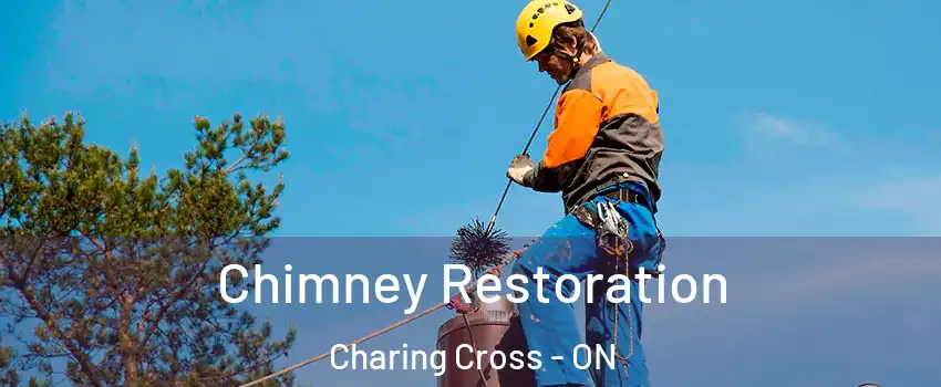  Chimney Restoration Charing Cross - ON