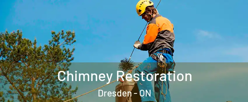  Chimney Restoration Dresden - ON