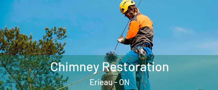  Chimney Restoration Erieau - ON