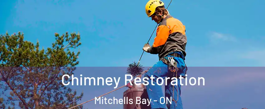  Chimney Restoration Mitchells Bay - ON