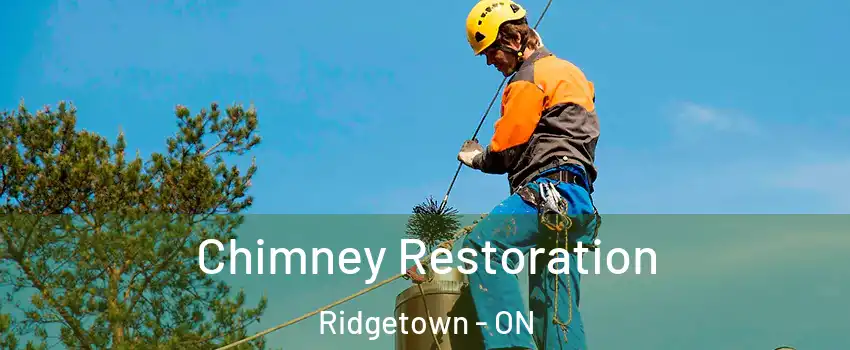  Chimney Restoration Ridgetown - ON