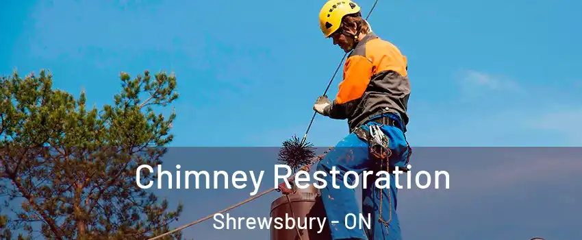  Chimney Restoration Shrewsbury - ON