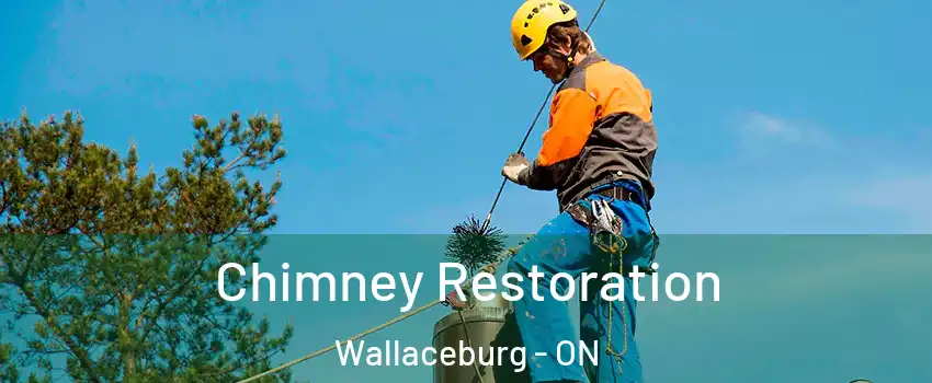  Chimney Restoration Wallaceburg - ON