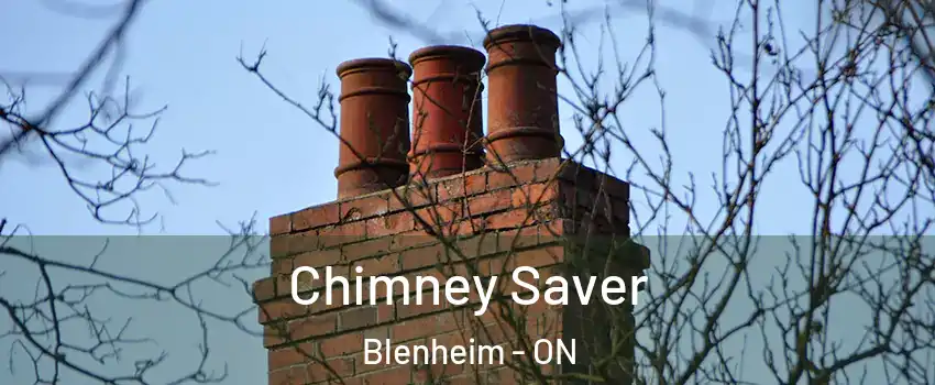  Chimney Saver Blenheim - ON