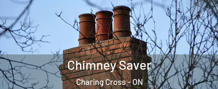  Chimney Saver Charing Cross - ON