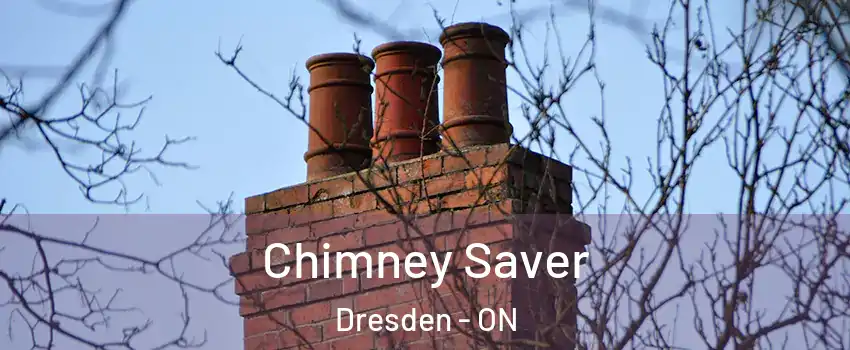  Chimney Saver Dresden - ON