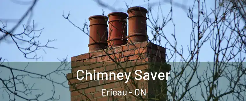  Chimney Saver Erieau - ON